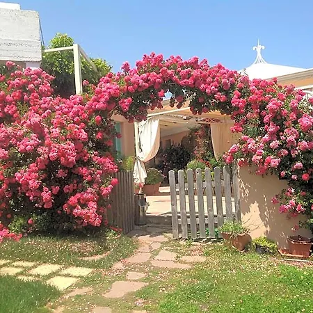 Park Asinara 3* סטינטינו