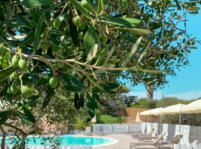 Hotel Park Asinara 3*