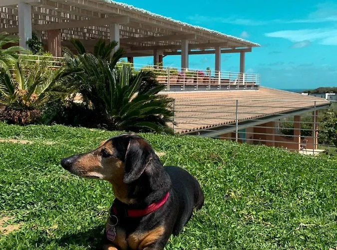 Park Asinara 3* Stintino