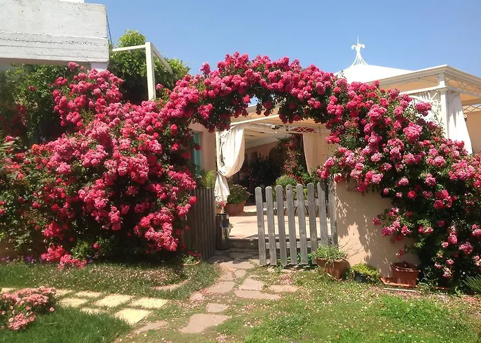 Park Asinara Hotel Stintino
